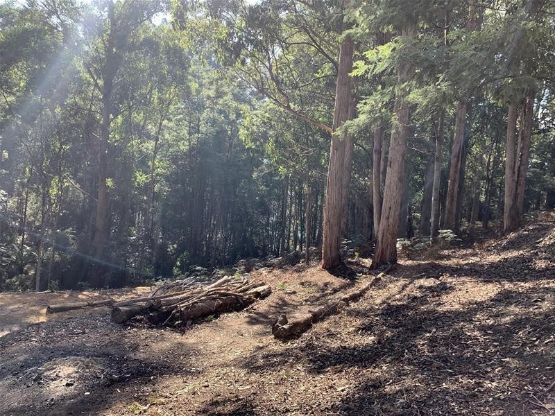 Jacksons Road, Franklin TAS 7113