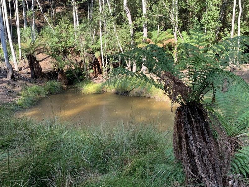 Jacksons Road, Franklin TAS 7113