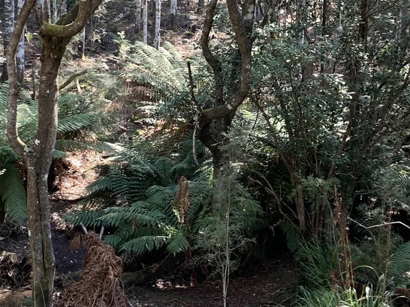 Jacksons Road, Franklin TAS 7113