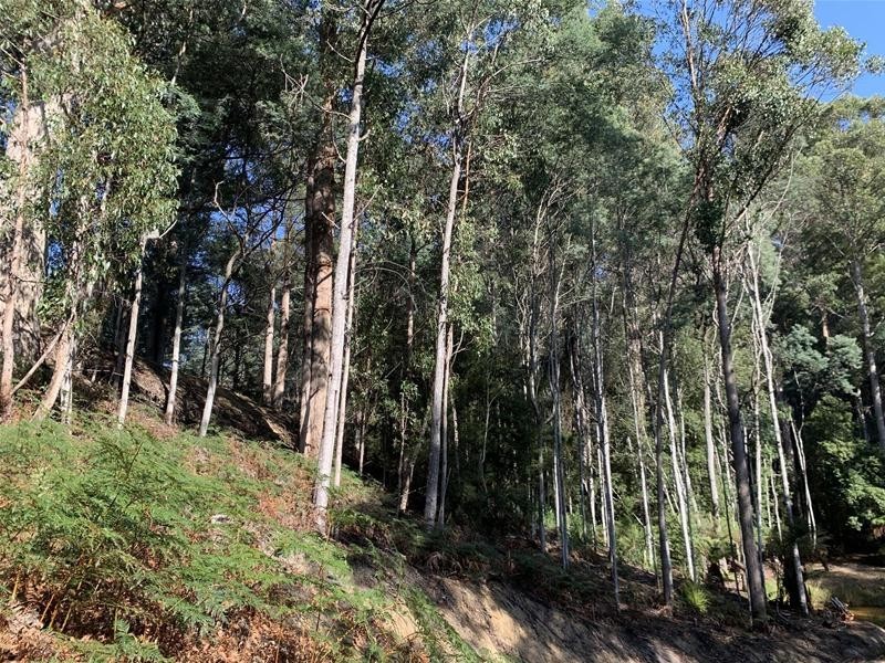 Jacksons Road, Franklin TAS 7113