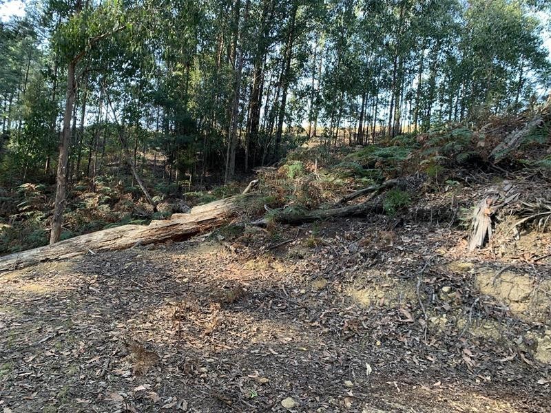 Jacksons Road, Franklin TAS 7113