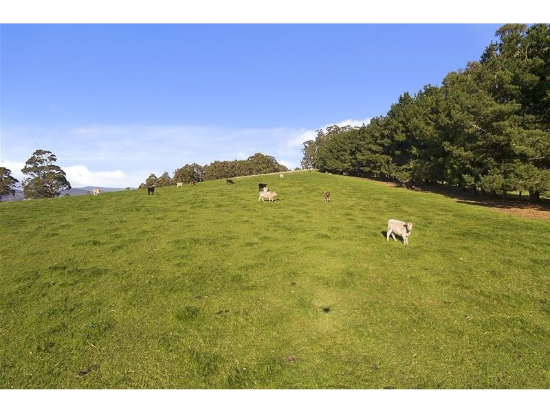 Lot/2 Flakemore Road, Franklin TAS 7113