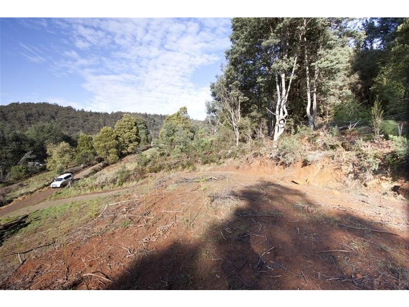 37 Paddys Lane, Franklin TAS 7113