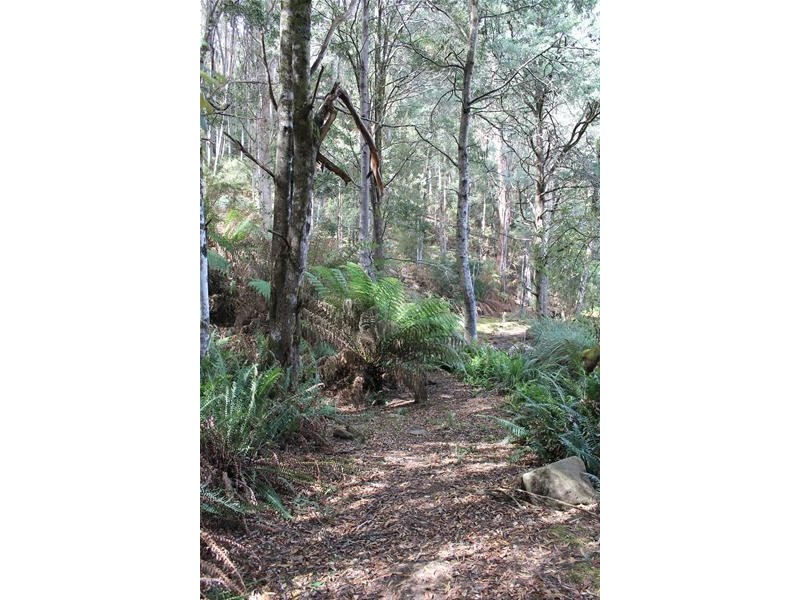 362 Bakers Creek Road, Lucaston TAS 7109