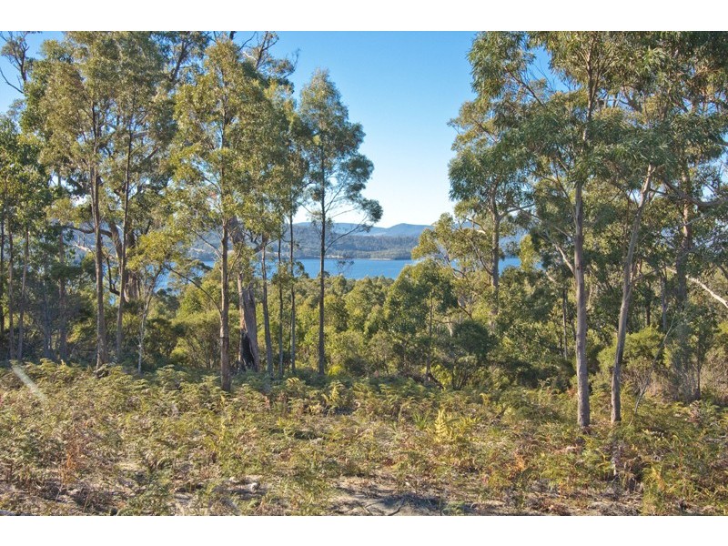 17 Stella Court, Surges Bay TAS 7116