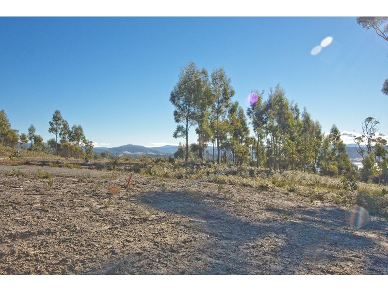 17 Stella Court, Surges Bay TAS 7116