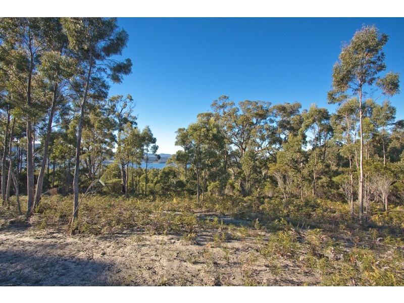 17 Stella Court, Surges Bay TAS 7116