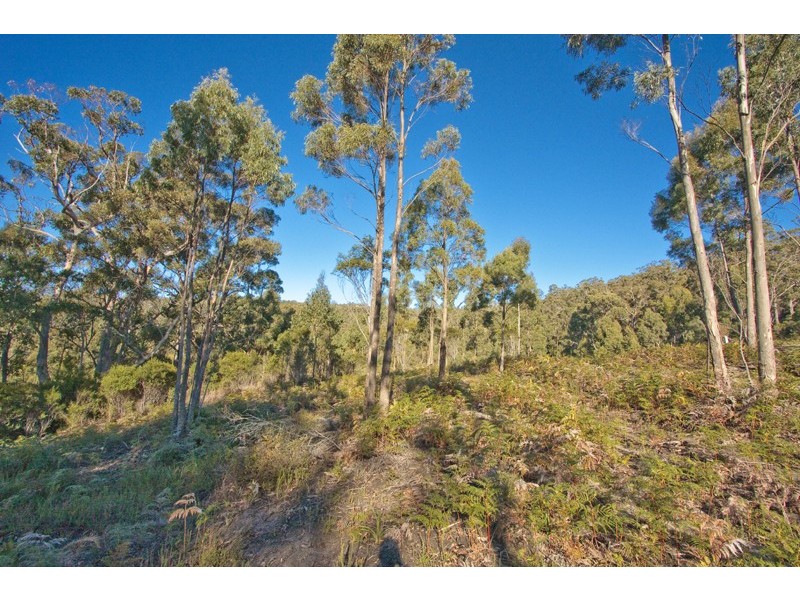 17 Stella Court, Surges Bay TAS 7116