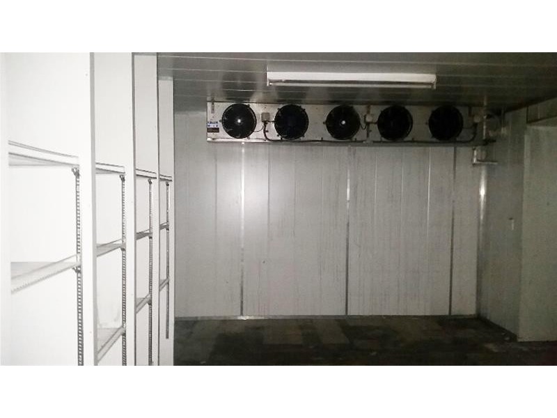 58 Mary Street, Cygnet TAS 7112