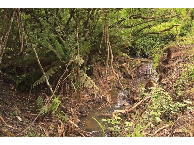 RA New Road, Franklin TAS 7113