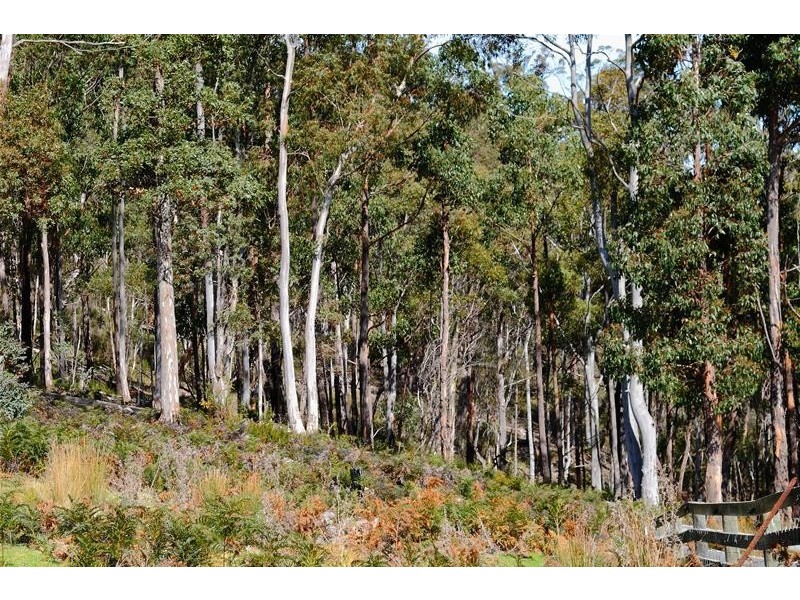 88 Boundary Creek Road, Judbury TAS 7109