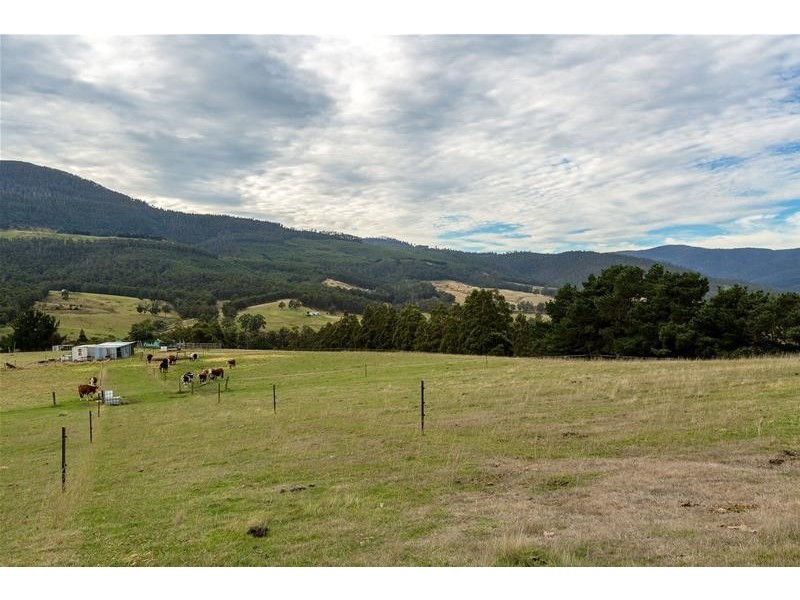 365 Sheoak Road, Judbury TAS 7109
