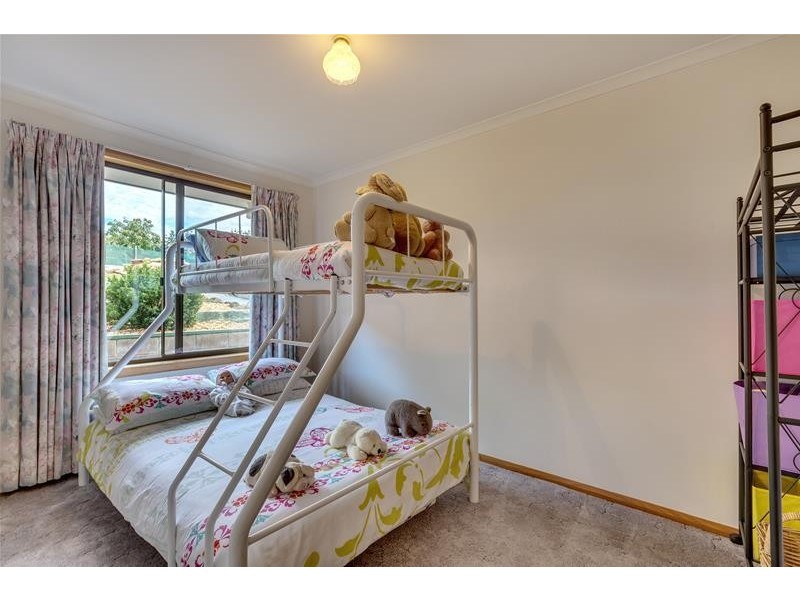 365 Sheoak Road, Judbury TAS 7109