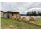 365 Sheoak Road, Judbury TAS 7109