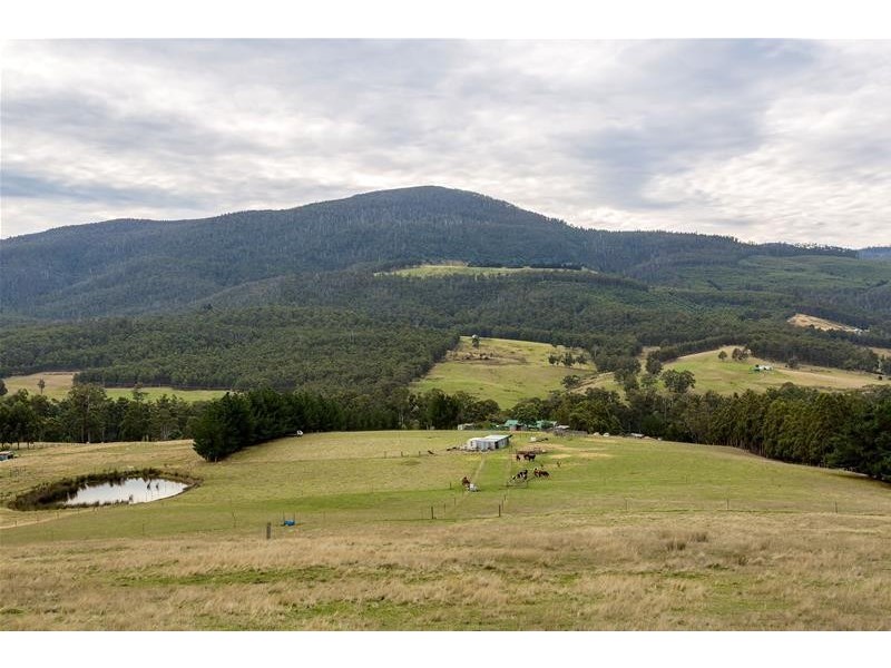 365 Sheoak Road, Judbury TAS 7109