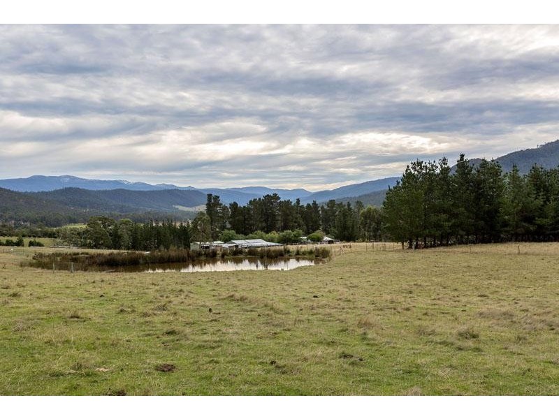 365 Sheoak Road, Judbury TAS 7109