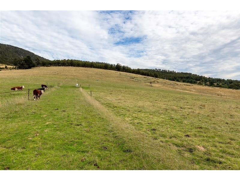 365 Sheoak Road, Judbury TAS 7109
