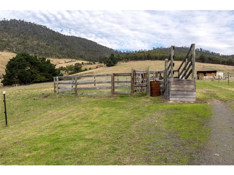 365 Sheoak Road, Judbury TAS 7109