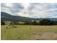 365 Sheoak Road, Judbury TAS 7109