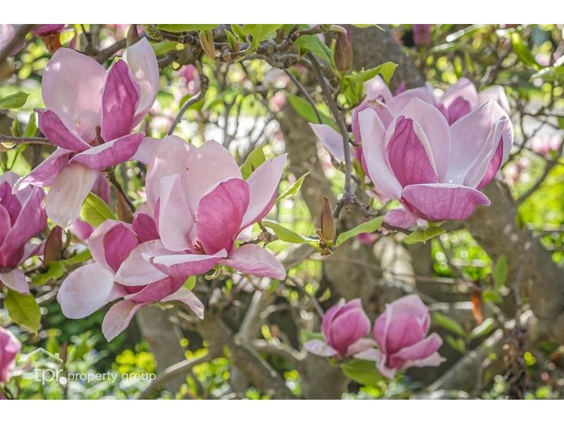 59 Fourfoot Road, Geeveston TAS 7116