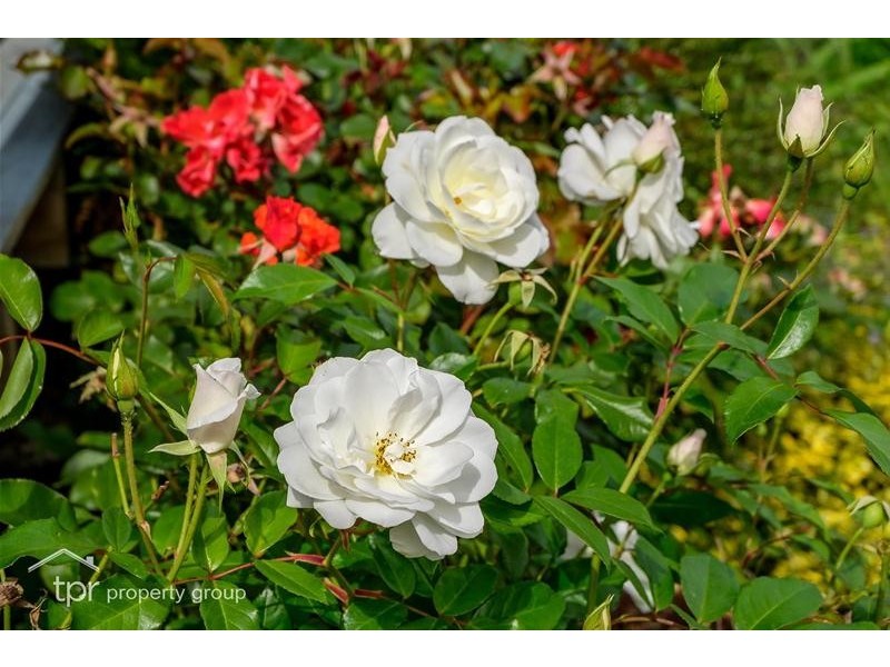 59 Fourfoot Road, Geeveston TAS 7116