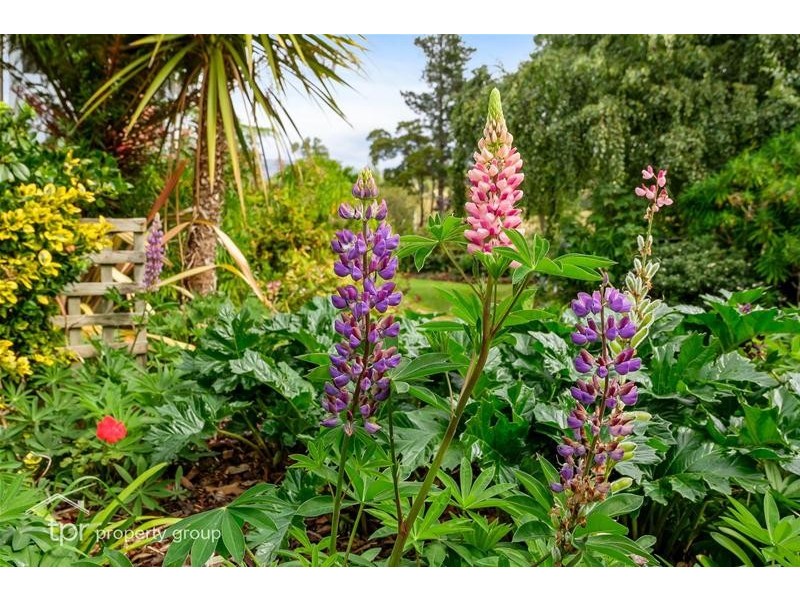 59 Fourfoot Road, Geeveston TAS 7116