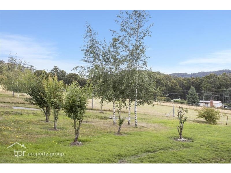 8 Elizabeth Street, Cygnet TAS 7112