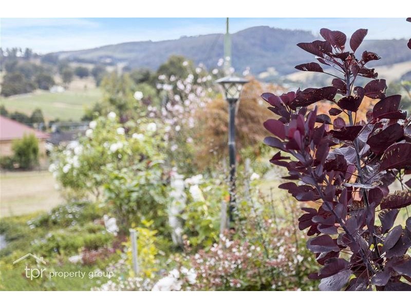 8 Elizabeth Street, Cygnet TAS 7112