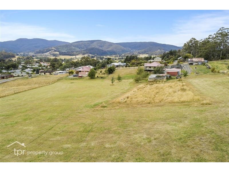 8 Elizabeth Street, Cygnet TAS 7112