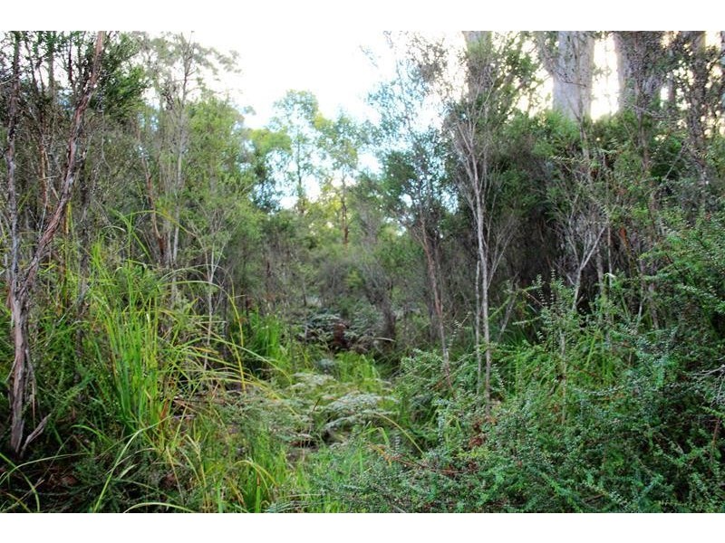 214 Lune River Road, Lune River TAS 7109