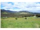 Lot 2 Maxfields Road, Franklin TAS 7113