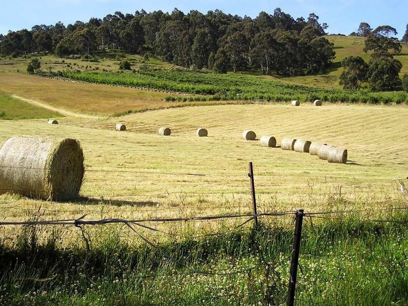 Lot 2 Maxfields Road, Franklin TAS 7113