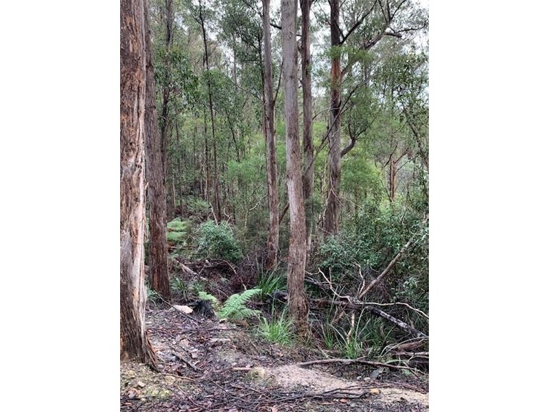 1 & 2 Off Bakers Creek Road, Lucaston TAS 7109