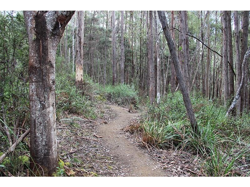 8692 Huon Highway, Southport TAS 7109