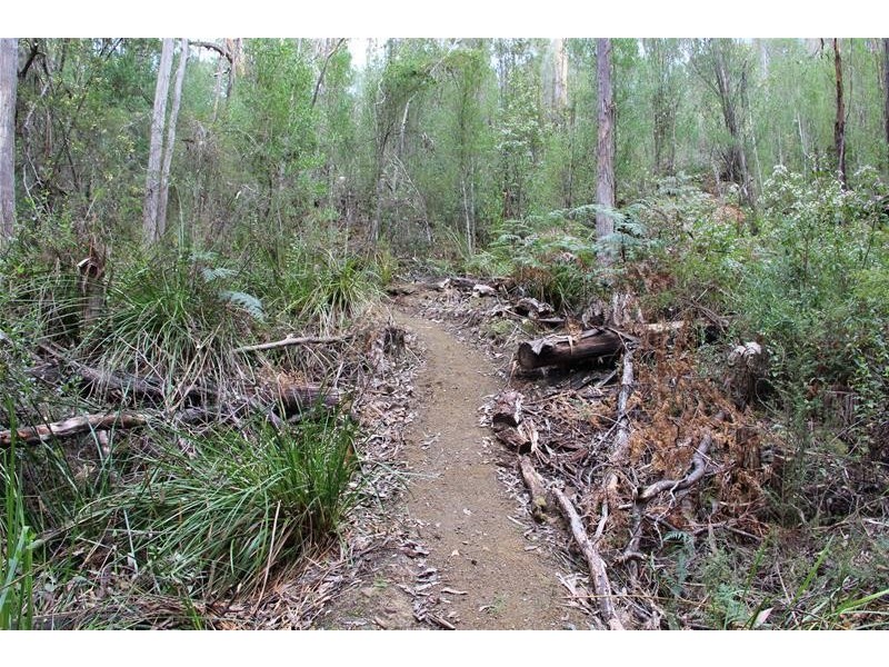 8692 Huon Highway, Southport TAS 7109