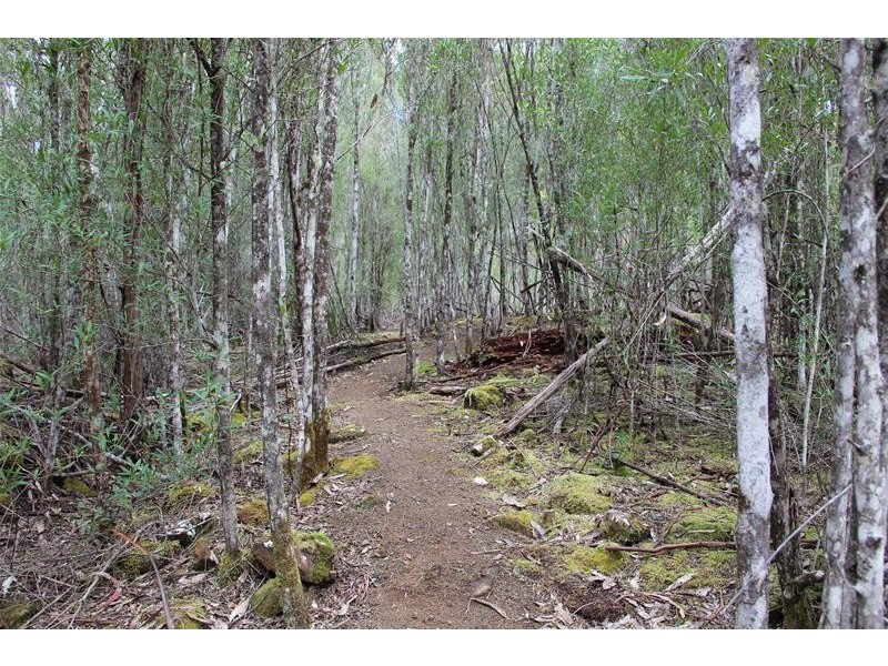 8692 Huon Highway, Southport TAS 7109