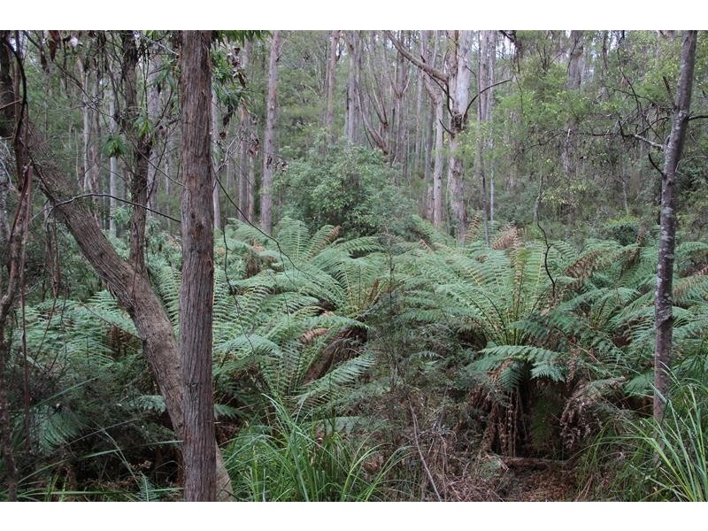 8692 Huon Highway, Southport TAS 7109