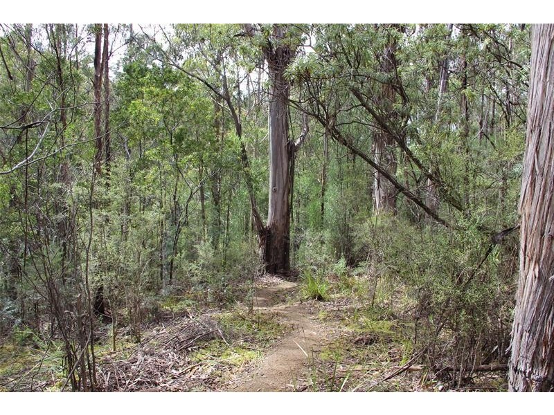 8692 Huon Highway, Southport TAS 7109