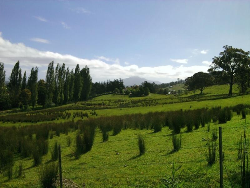 17 Fritton Drive, Dover TAS 7117