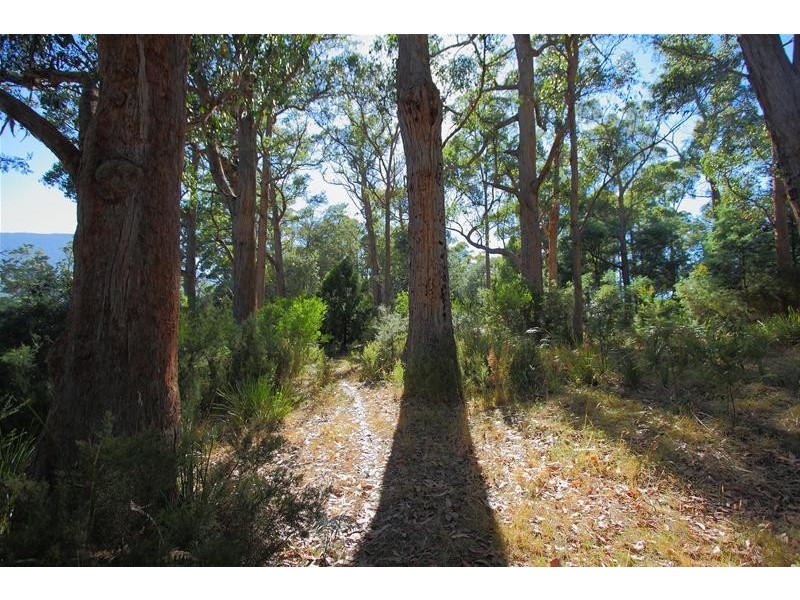 508 Sheoak Road, Judbury TAS 7109