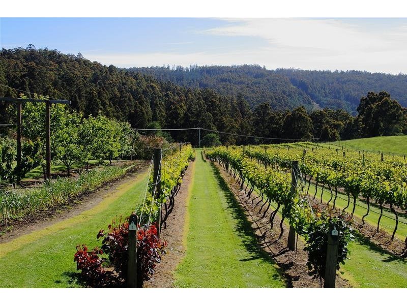 40 Archers Road, Franklin TAS 7113