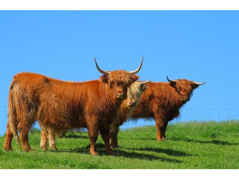 40 Archers Road, Franklin TAS 7113