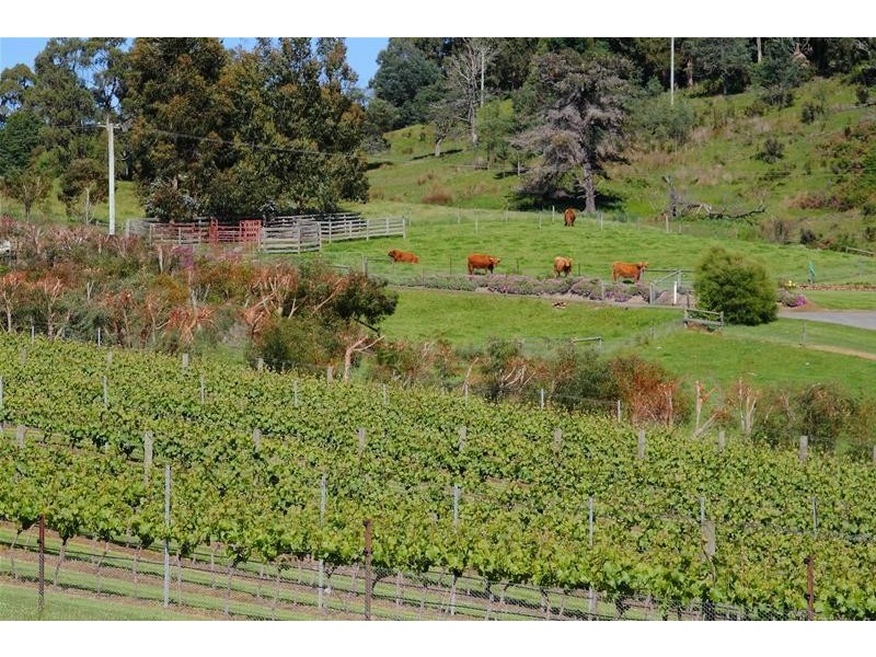 40 Archers Road, Franklin TAS 7113