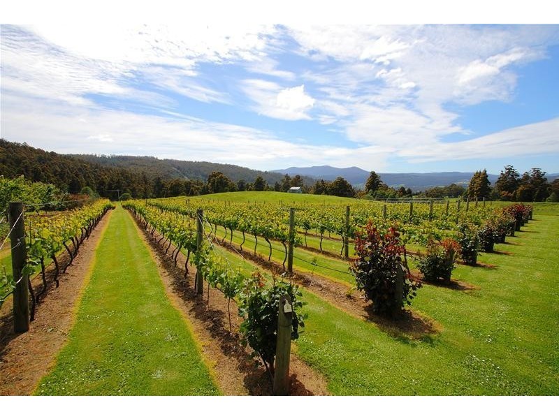 40 Archers Road, Franklin TAS 7113