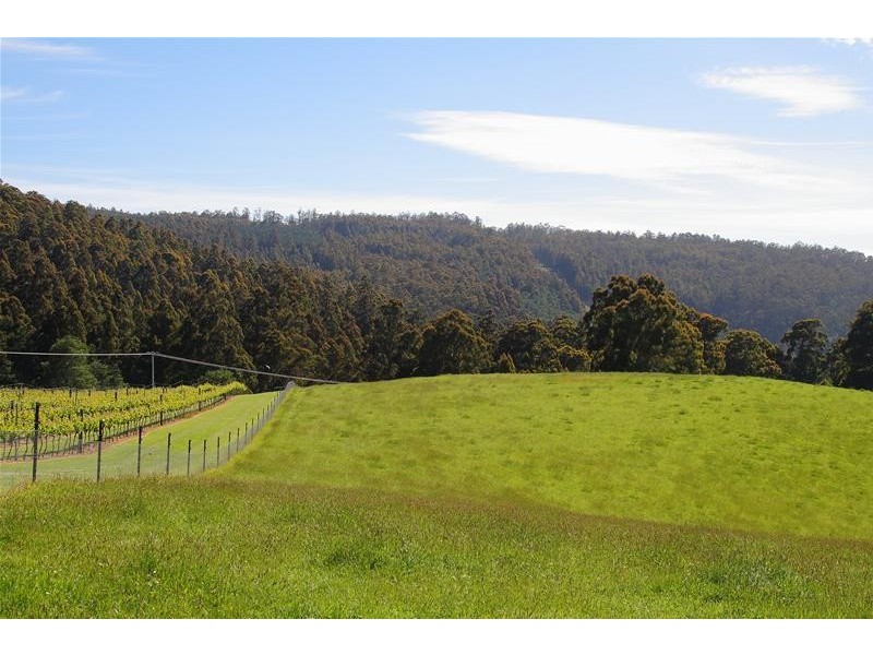 40 Archers Road, Franklin TAS 7113