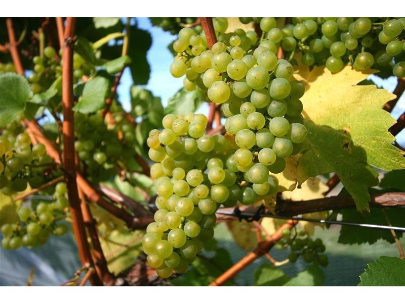 40 Archers Road, Franklin TAS 7113