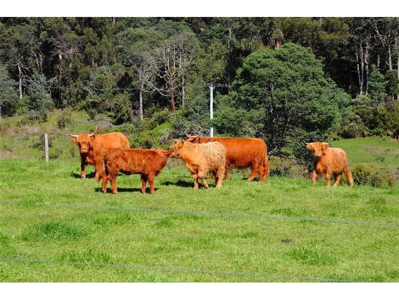 40 Archers Road, Franklin TAS 7113