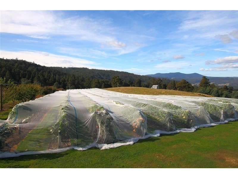 40 Archers Road, Franklin TAS 7113