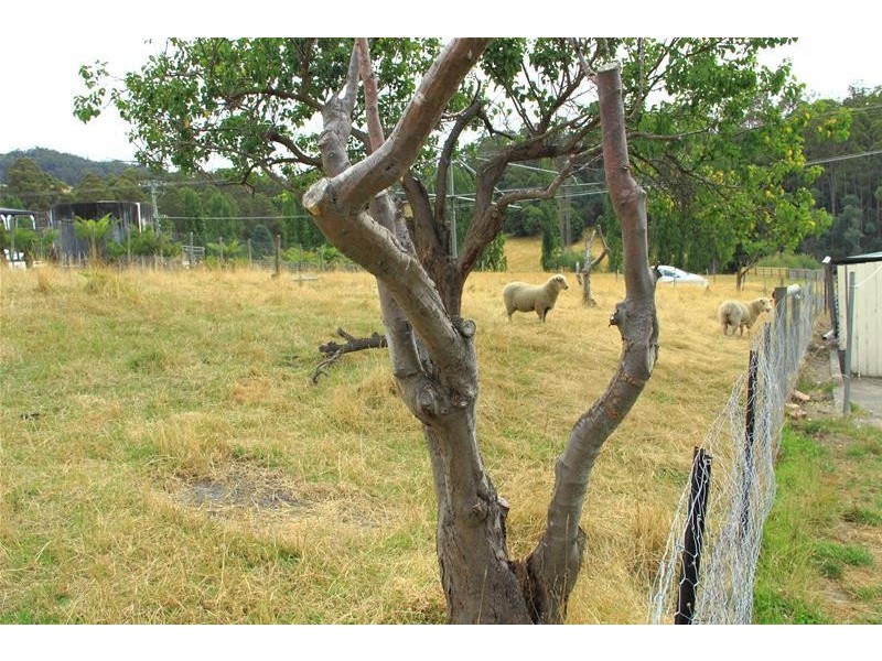 75 Watsons Road, Glen Huon TAS 7109