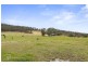 Lot / 1 Woodbridge Hill Road, Gardners Bay TAS 7112